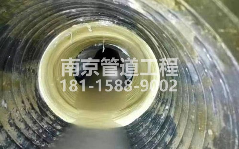 226月安树脂修复